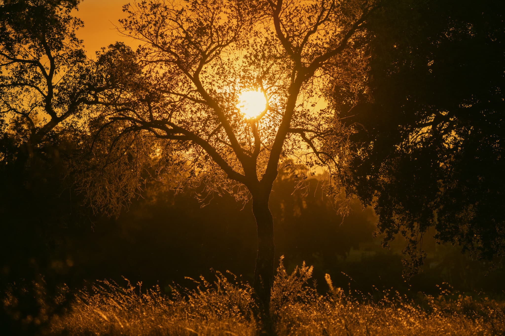 Paisagem e Lightroom