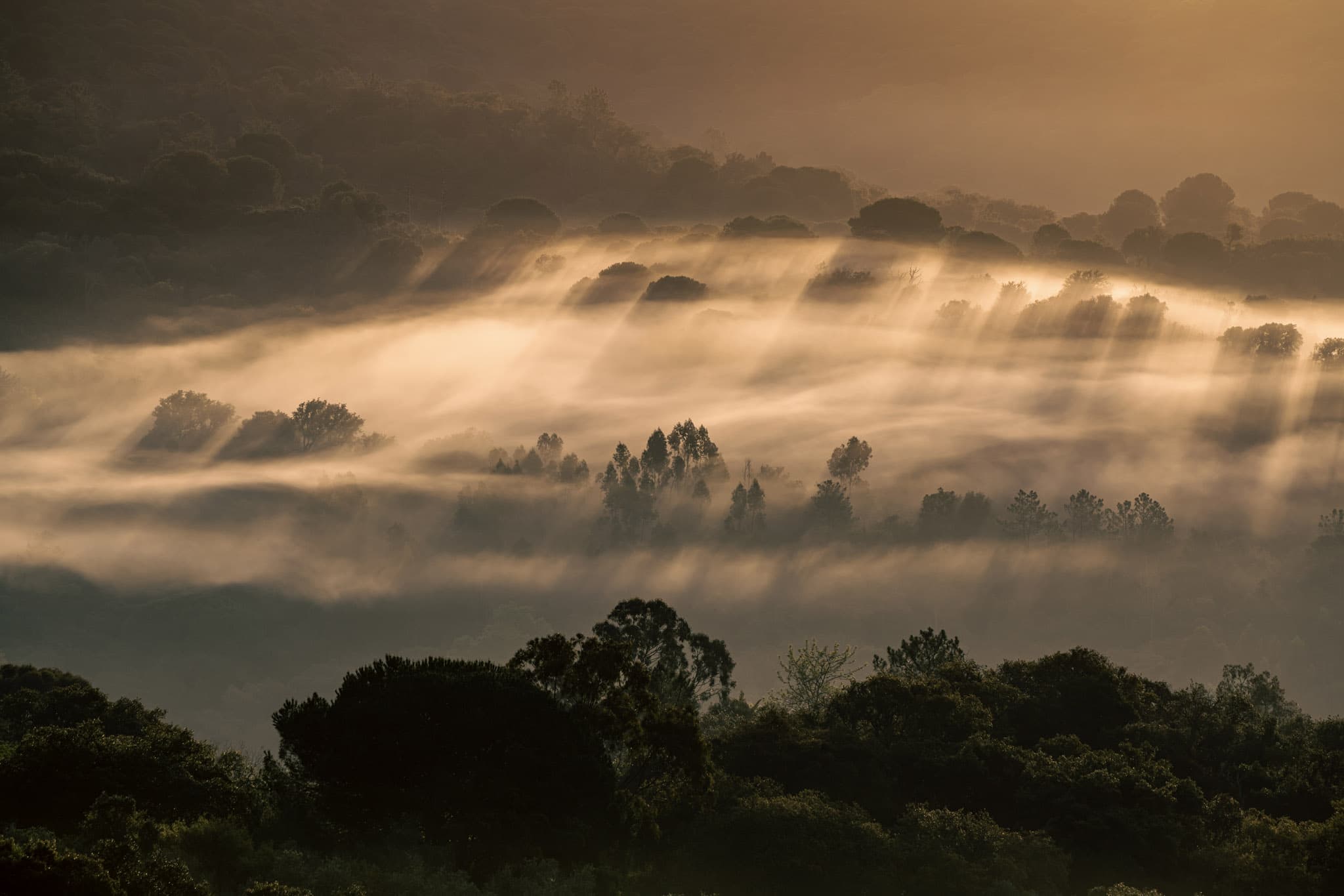Tour de Paisagem